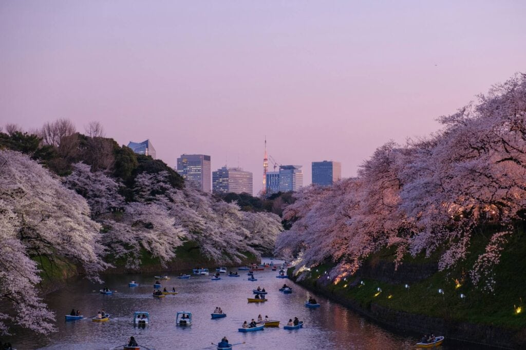 Zahlreiche kleine Boote fahren zur Dämmerung auf einem von blühenden Kirschbäumen gesäumten Fluss in Tokio, mit dem Tokyo Tower im Hintergrund.