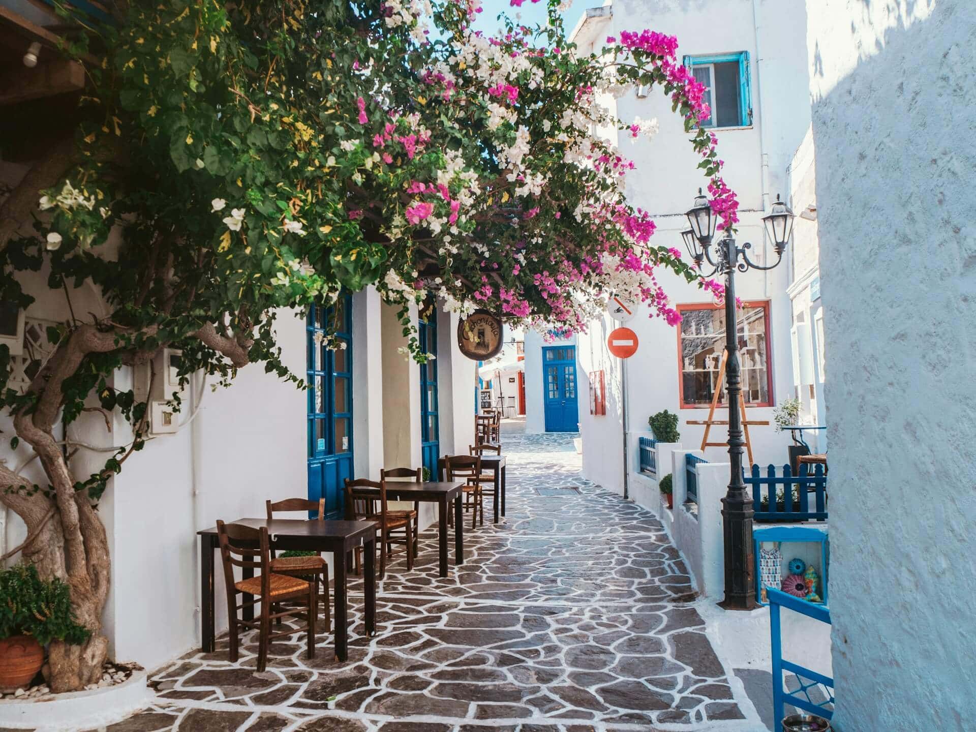 Eine schmale, malerische Gasse auf der griechischen Insel Milos. Weiße Häuser mit blauen Türen und Fenstern säumen den Weg aus unregelmäßigem Kopfsteinpflaster. Über den Tischen eines kleinen Cafés im Freien blühen üppige, pinkfarbene Bougainvillea-Blumen.