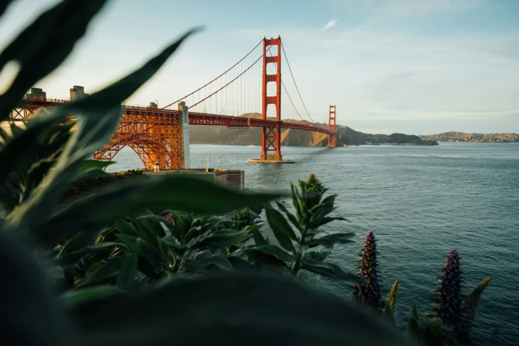 Golden Gate Bridge in San Francisco im Abendlicht, im Vordergrund Pflanzen am Ufer